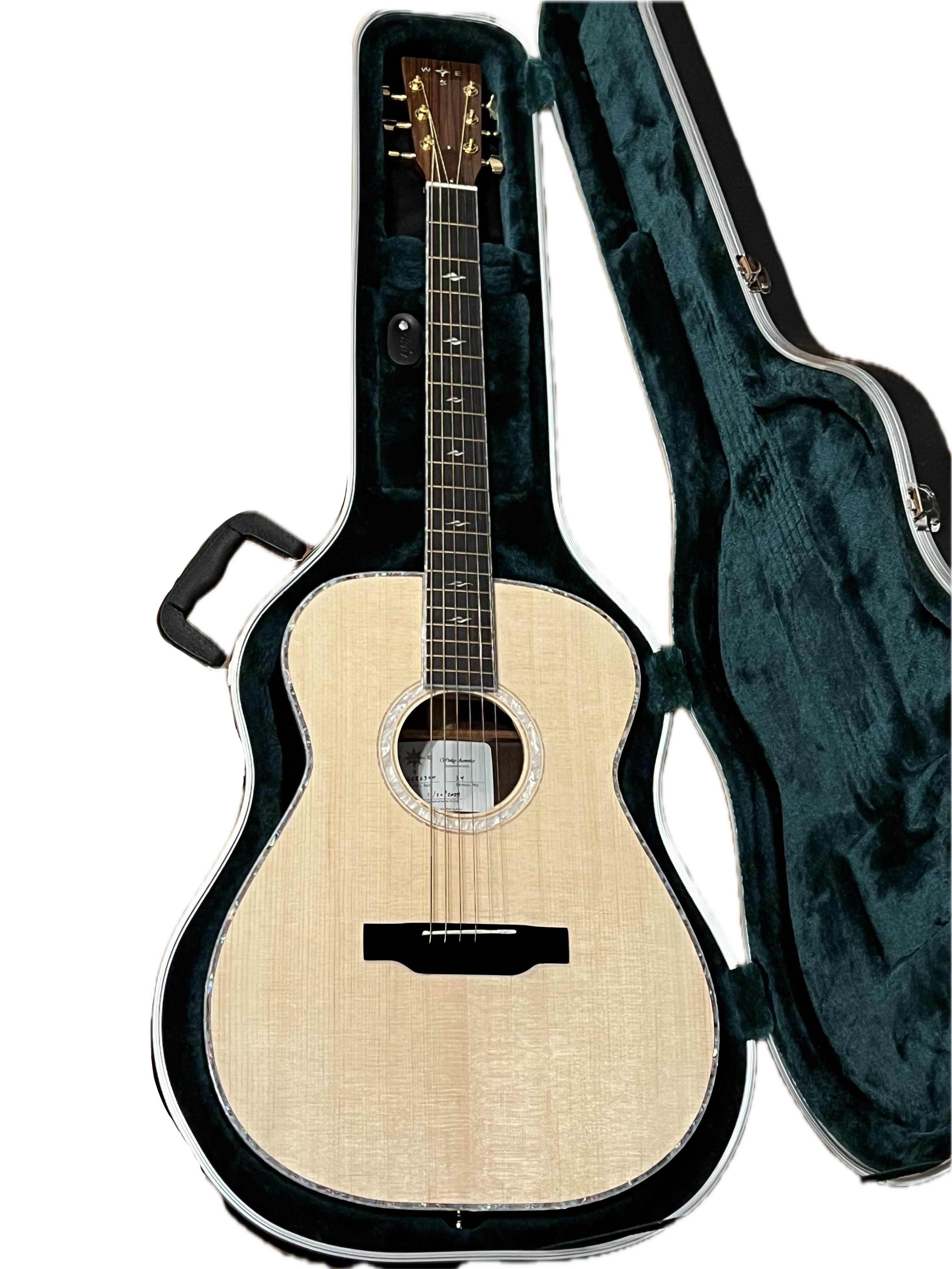 Acoustic guitar back in open case