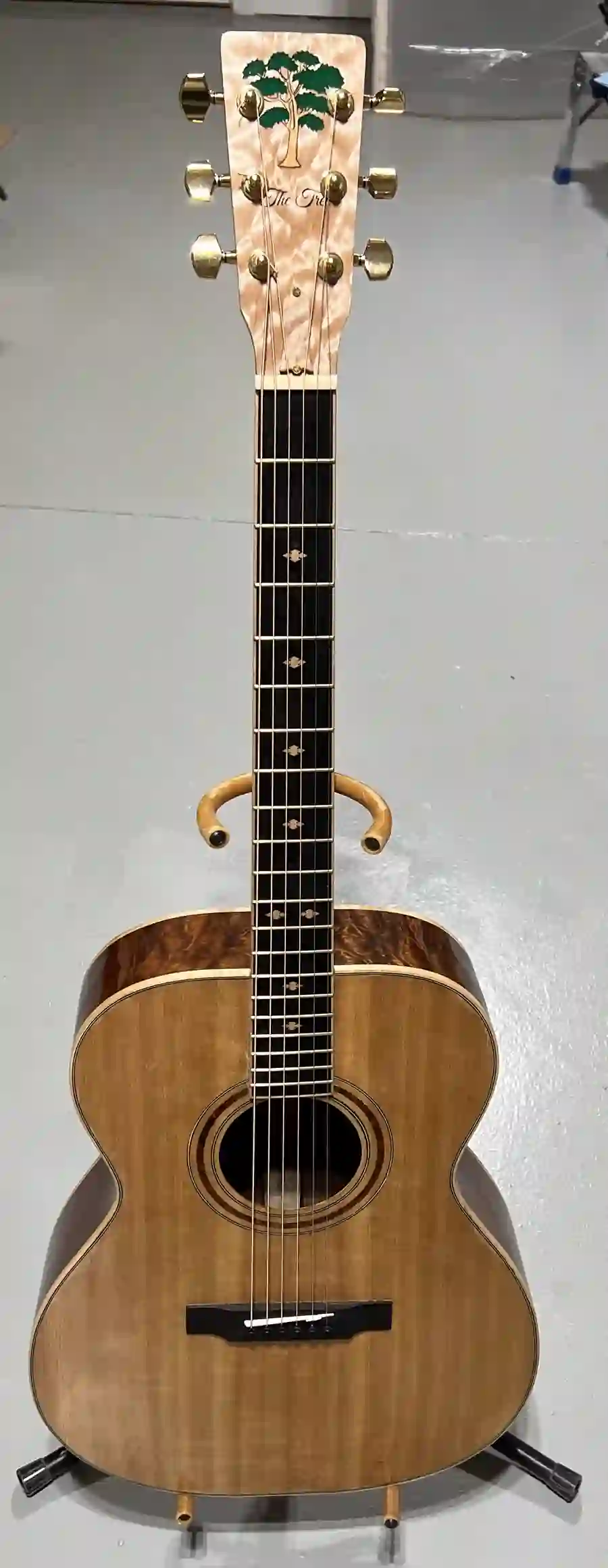 Acoustic guitar front view